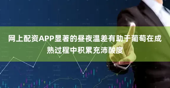 网上配资APP显著的昼夜温差有助于葡萄在成熟过程中积累充沛酸度