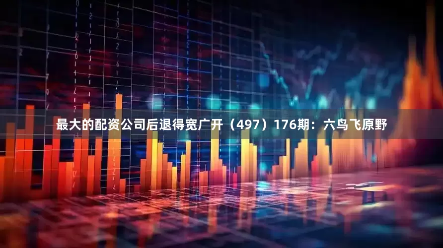 最大的配资公司后退得宽广开（497）　　176期：六鸟飞原野