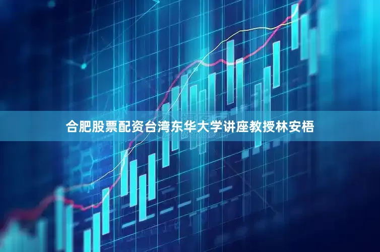 合肥股票配资台湾东华大学讲座教授林安梧